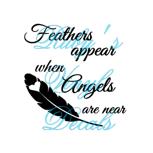 Feathers Appear When Angels Are Near