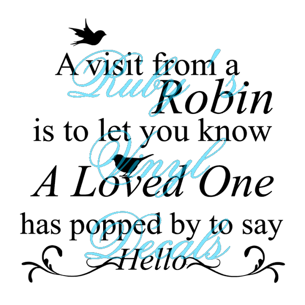 A Visit From A Robin