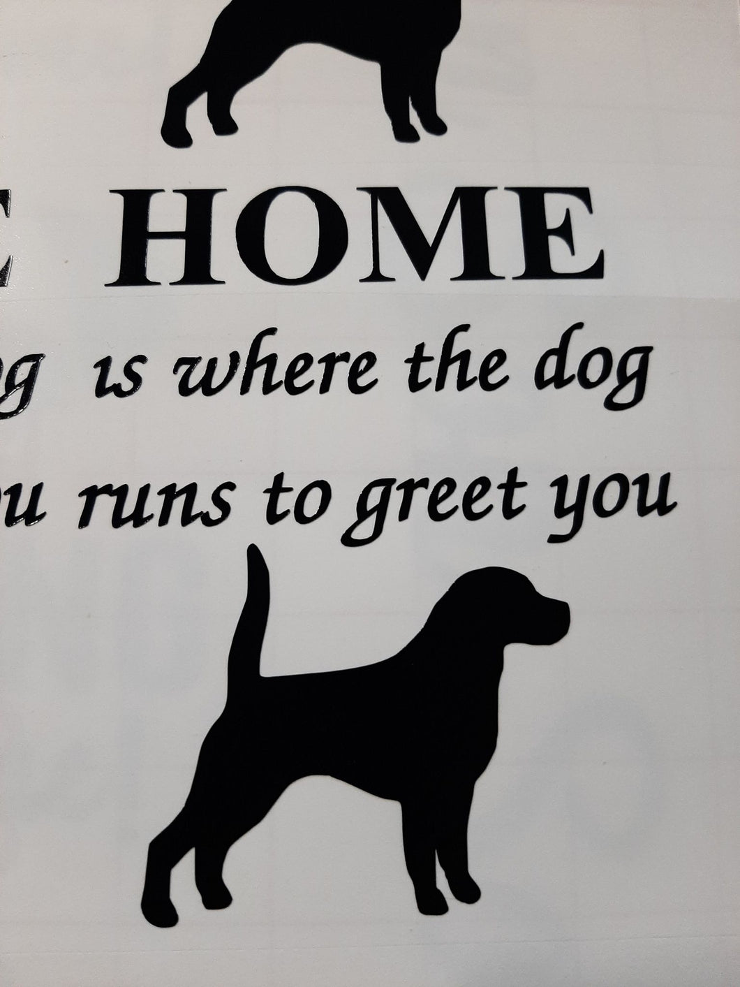 Home Is Where The Dog Run To Greet You