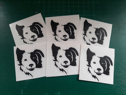 Collie Dog Face