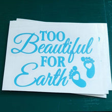 Too Beautiful For Earth Small