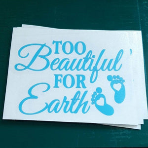Too Beautiful For Earth Small