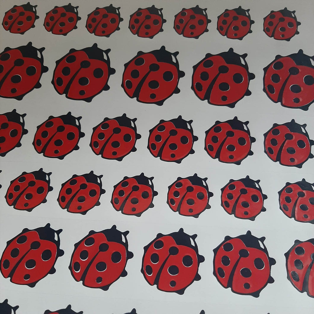 Ladybirds