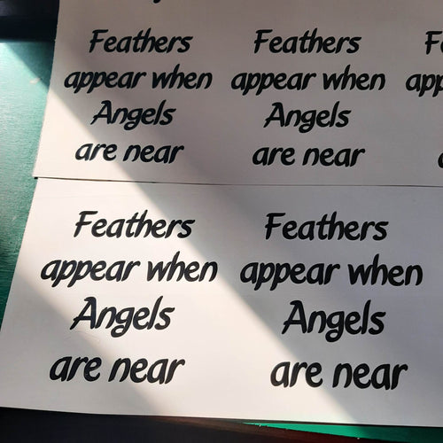 Feathers Appear When Angels Are Near Small