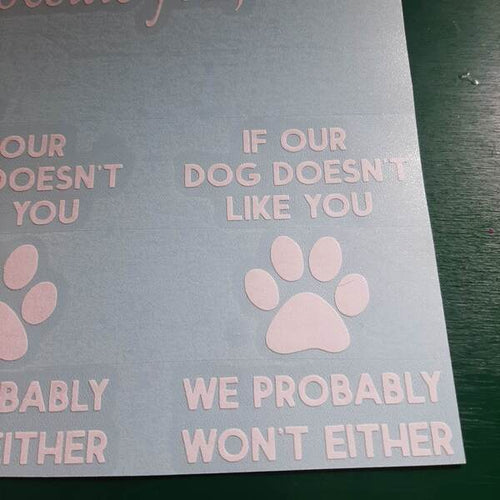 If Our Dog Doesn't Like You