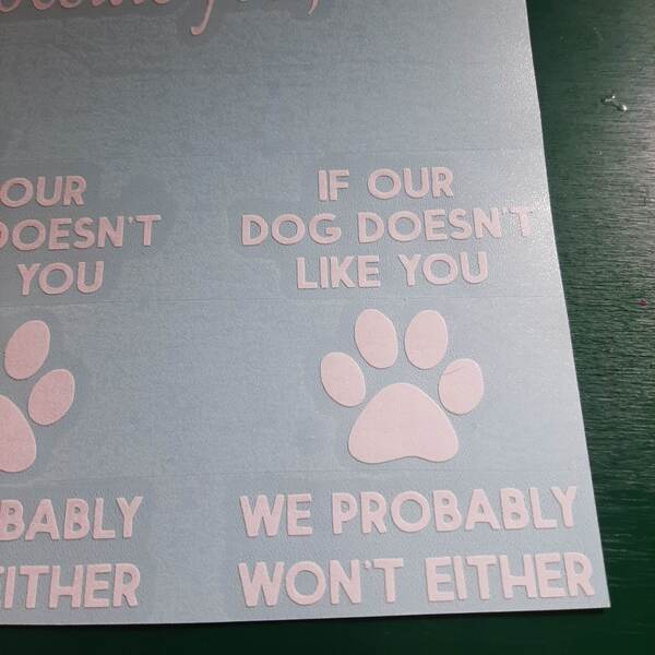 If Our Dog Doesn't Like You
