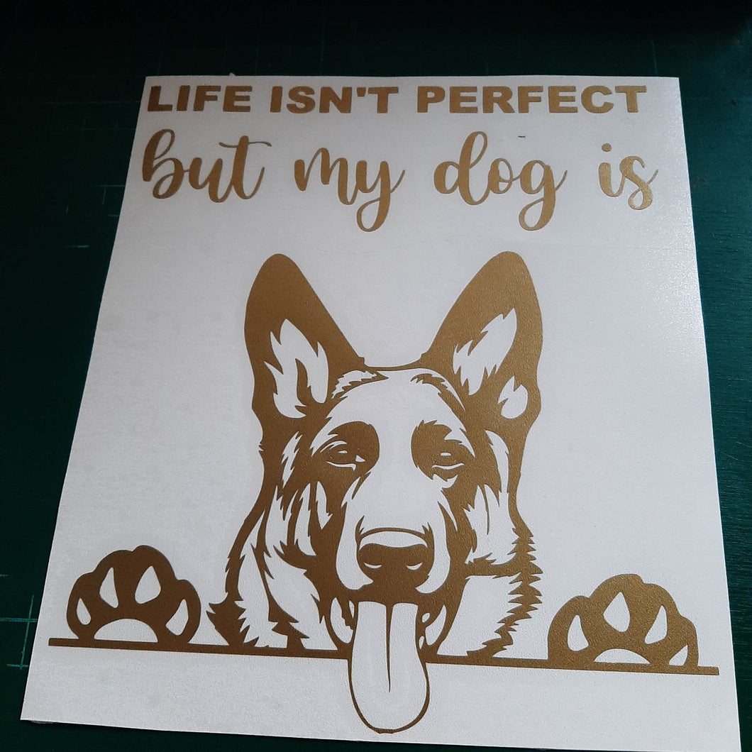 Life Isn't Perfect