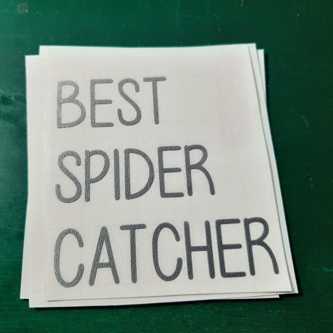 Best Spider Catcher