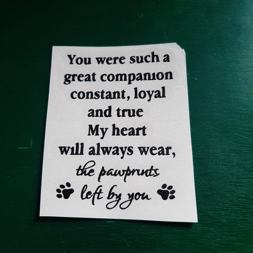 You Were Such A Great Companion