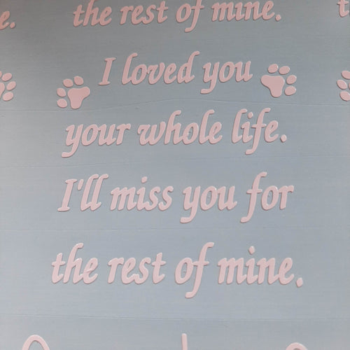 I Loved You Your Whole Life