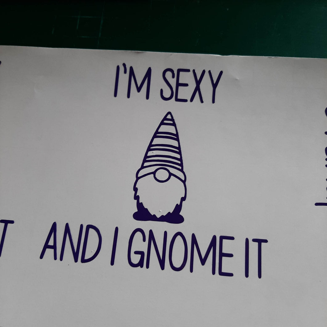 I'm Sexy And I Gnome It