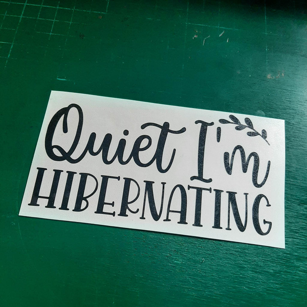 Quiet I'm Hibernating