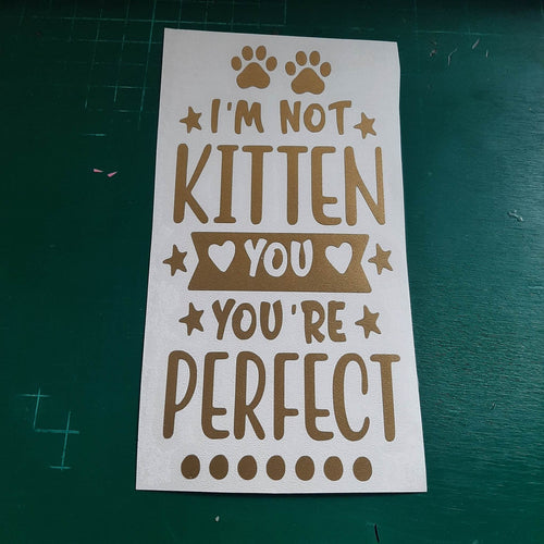 I'm Not Kitten You