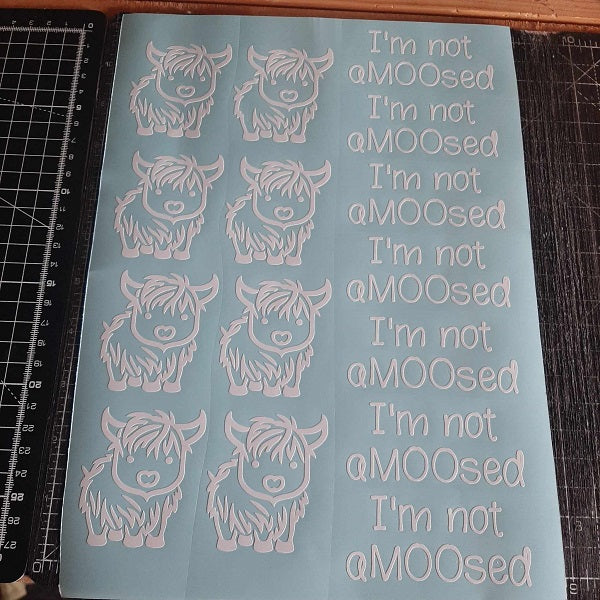 I'm Not Amoosed