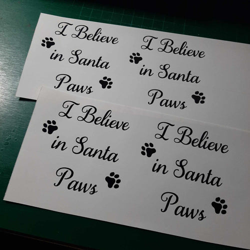 I Believe In Santa Paws