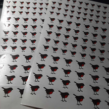 Robins