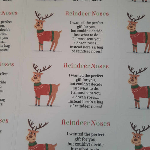 Reindeer Noses