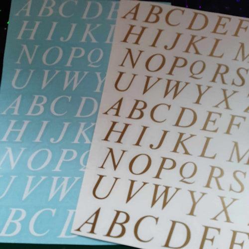 Times New Roman Capital Italic