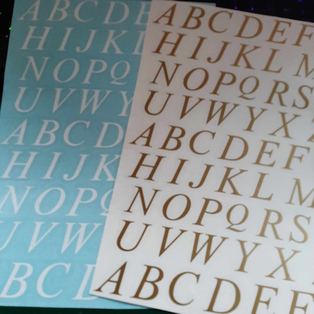 Times New Roman Capital Italic