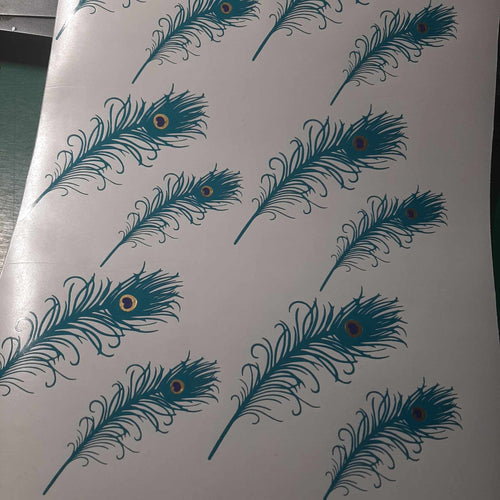 Peacock Feather