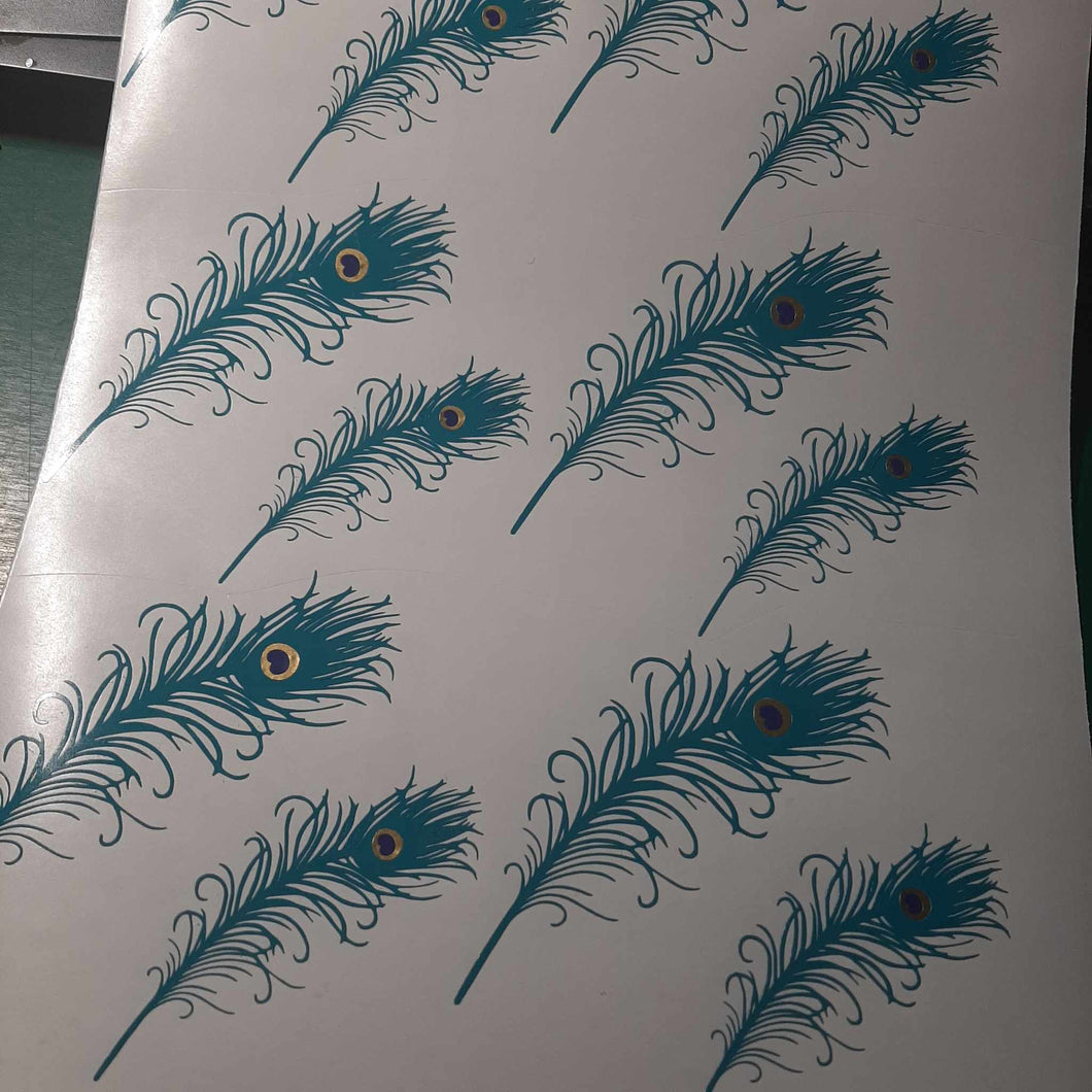Peacock Feather