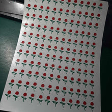 Mini Roses