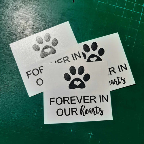 Forever In Our Hearts