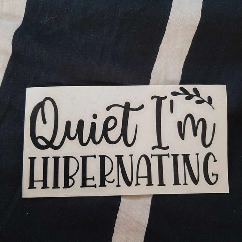 Quiet I'm Hibernating