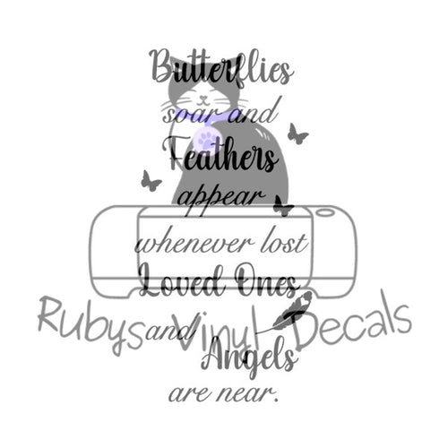 Butterflies Soar And Feathers Appear
