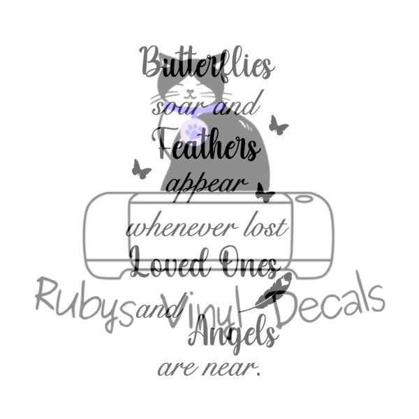 Butterflies Soar And Feathers Appear