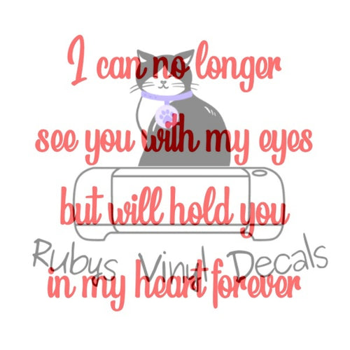 I Can No Longer See You With My Eyes