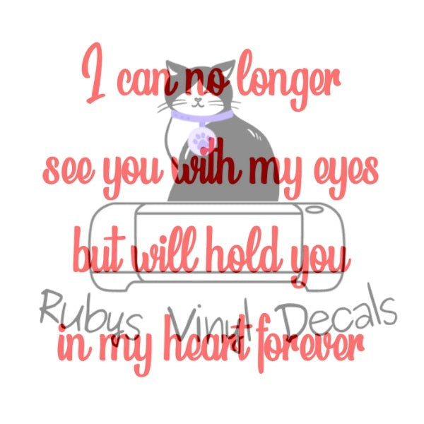 I Can No Longer See You With My Eyes