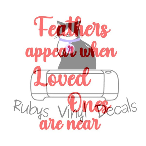 Feathers Appear When Loved Ones Are Near