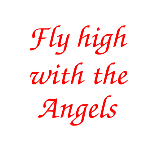 Fly High With The Angels Design 1